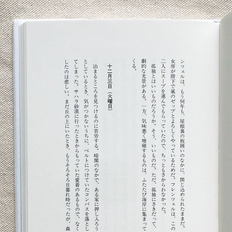 ヴェルナー・ヘルツォーク｜氷上旅日記