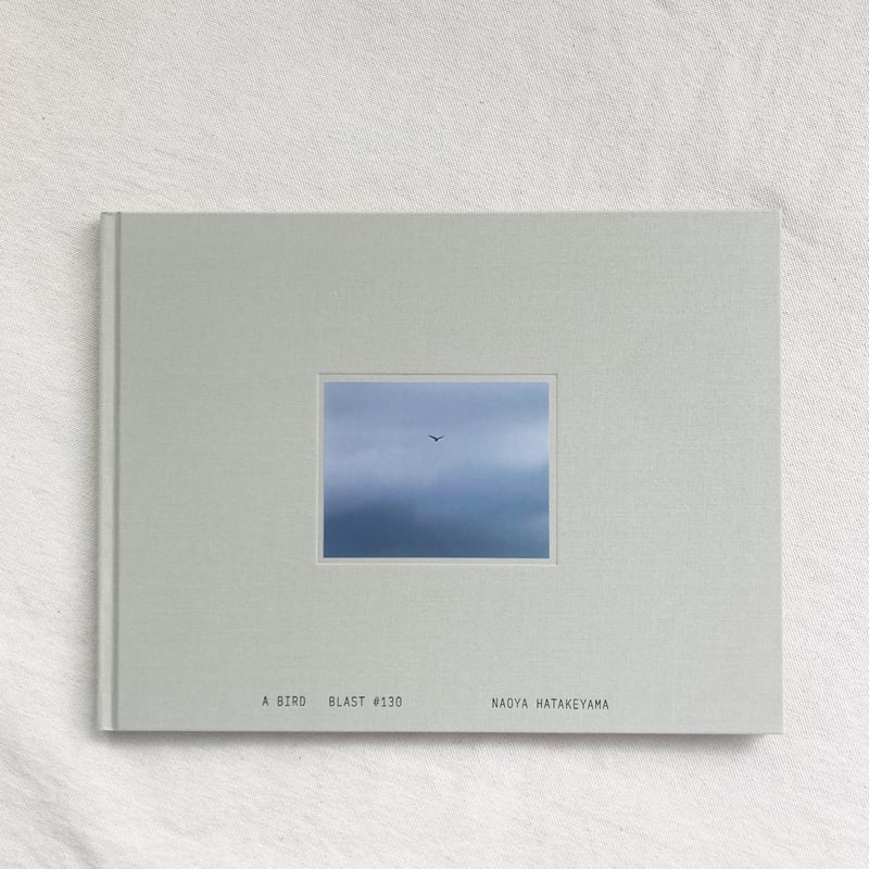 畠山直哉｜A BIRD BLAST #130 | 曲線