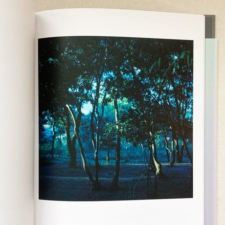 山元彩香 ｜We are Made of Grass, Soil, Trees, and Flowers