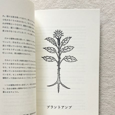 モノ・ホーミー｜植物の部屋