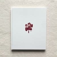 遠藤文香｜Swaying Flowers