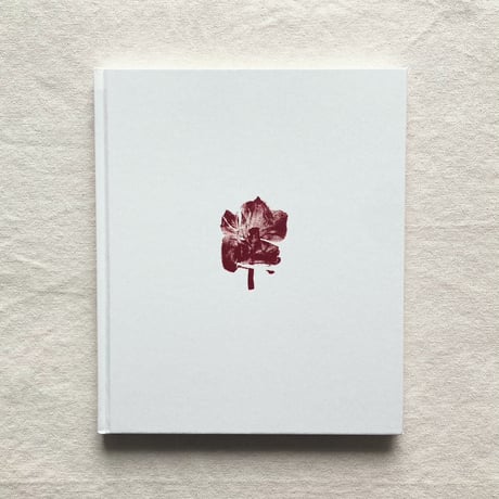遠藤文香｜Swaying Flowers
