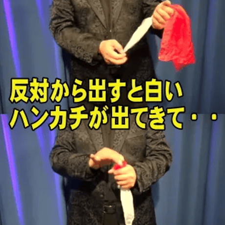 ジャンボサッカーカメレオンシルク