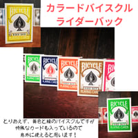 カラードバイスクル　ライダーバック