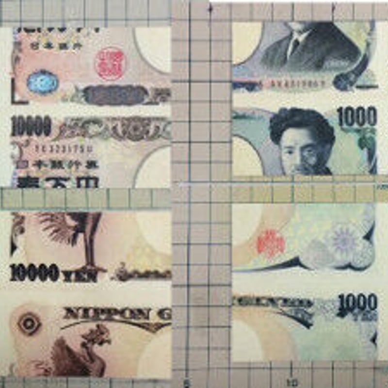 ミスメイドビル１０枚　1ドル手品 ミスメイドビル10枚 1ドル手品 ビルチェンジコンテンツ＋ミス