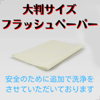大判フラッシュペーパー（２０センチ＊５０センチ）