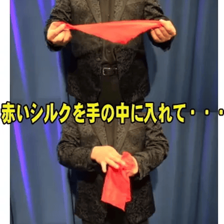 ジャンボサッカーカメレオンシルク