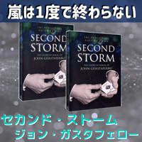 Second Storm Volume 1 &2 by John Guastaferro