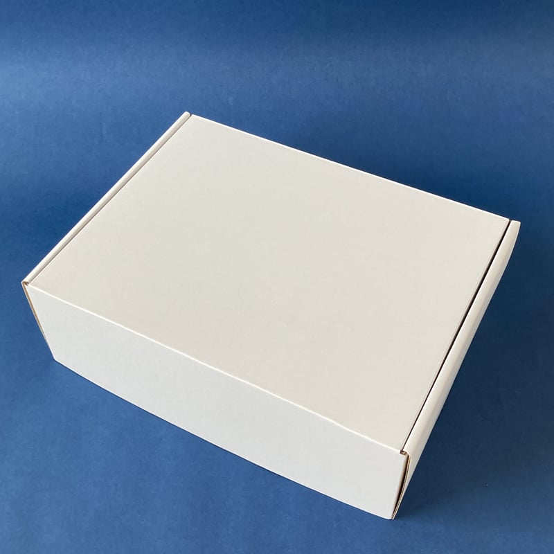 箱ファイル（5個入り） | ファイルティーチャー