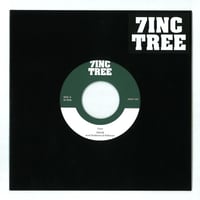 THE DEFINITION OF THIS WORD