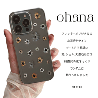 【人気No.2】ohana