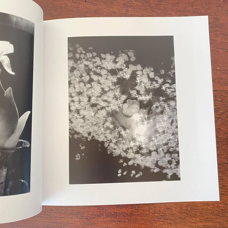 新山清 写真集『花・女』新品200部限定
