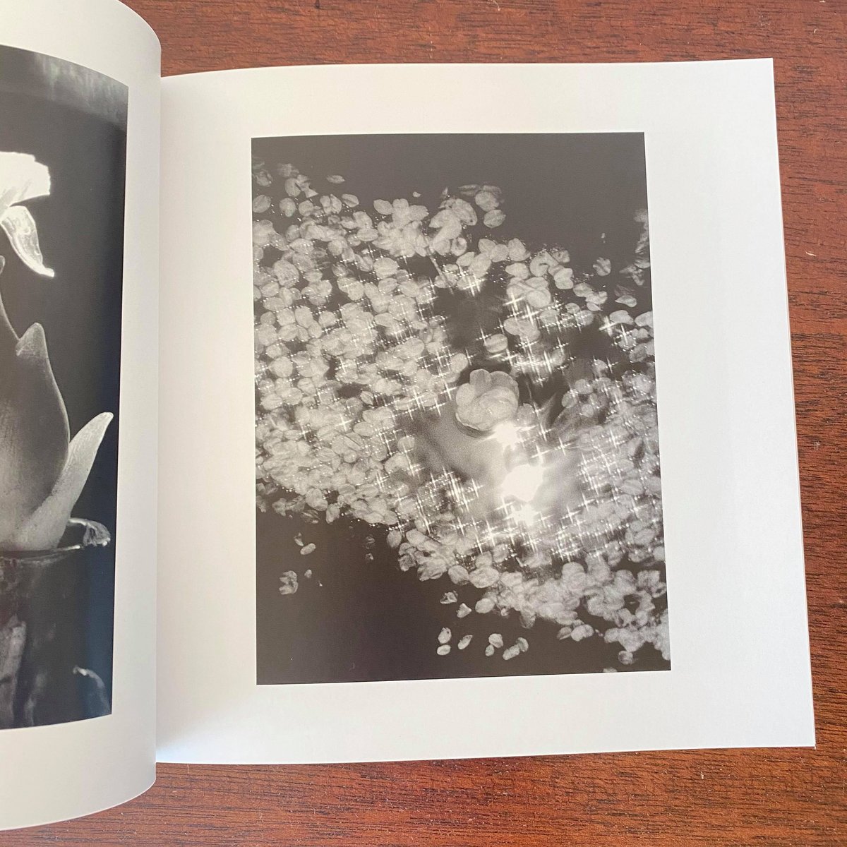 【希少写真集】「新山清の世界」＆「新山清の世界 Vol.2」セット販売 希少写真集】「新山清の世界」＆「新山清の世界 Vol.2」セット販売