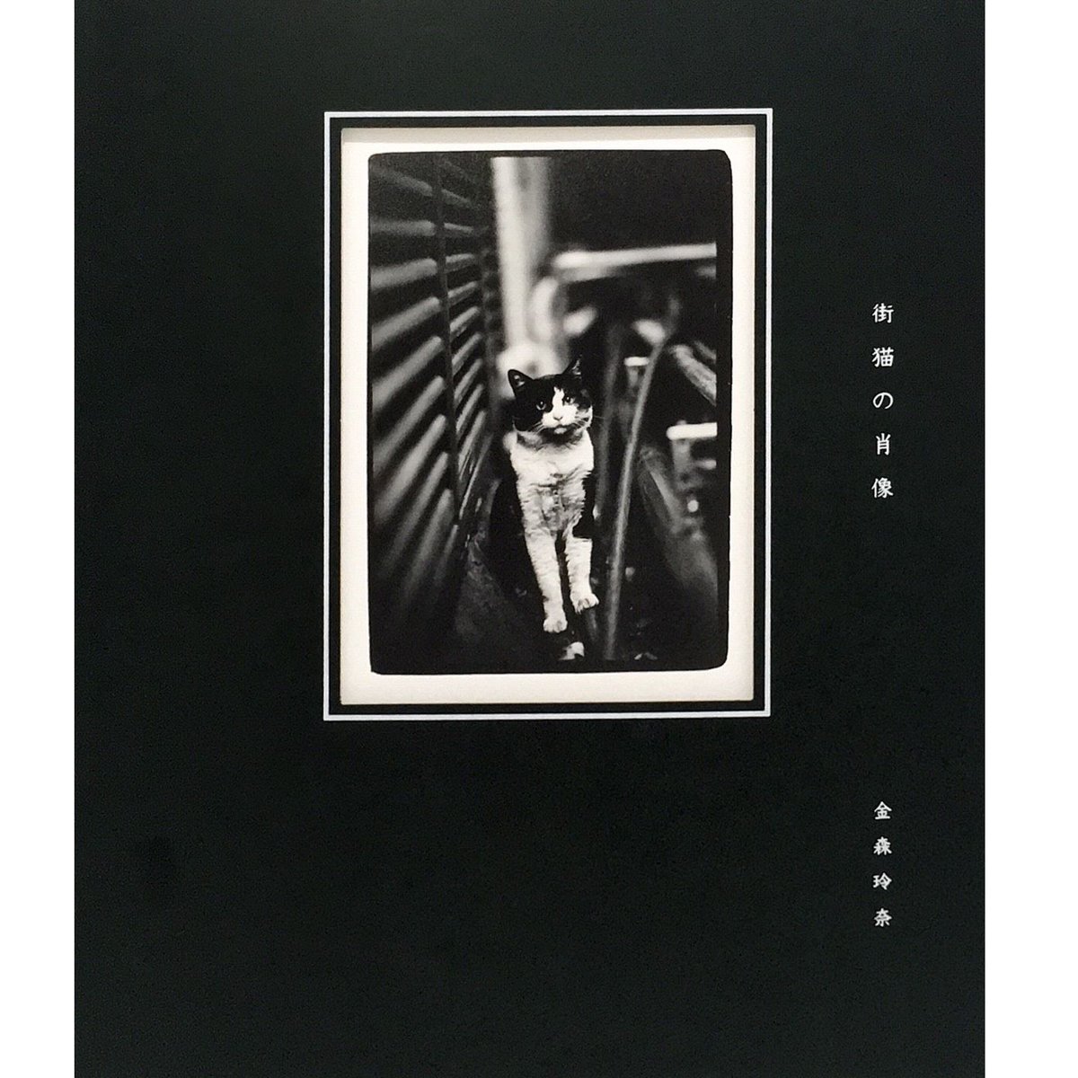 金森玲奈 写真集『街猫の肖像』新品 サイン入り | Jam Books