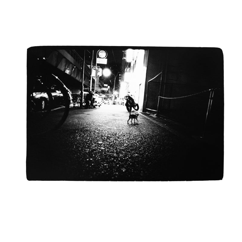 金森玲奈 写真集『街猫の肖像』新品 サイン入り | Jam Books