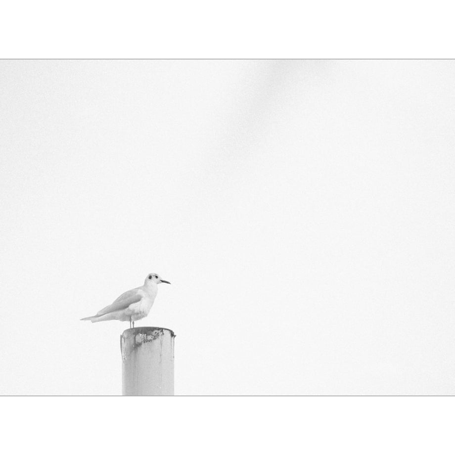 5d860980ff78bd3941b8e18b