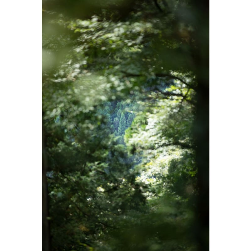 鶴巻育子 写真集 『お山のおいぬさま』 | Jam Books