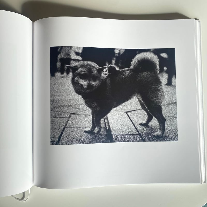 鶴巻育子 写真集 『ALT』 新品 *サイン入り | Jam Books