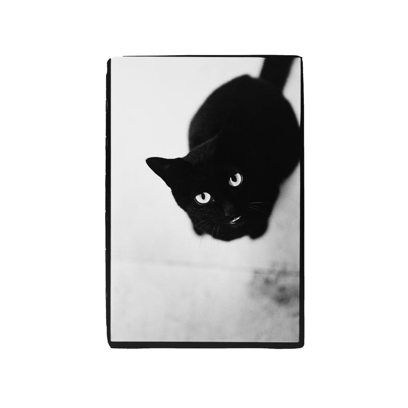 金森玲奈 写真集『街猫の肖像』新品 サイン入り | Jam Books