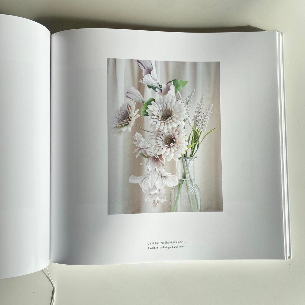 鶴巻育子 写真集 『ALT』 新品 *サイン入り | Jam Books
