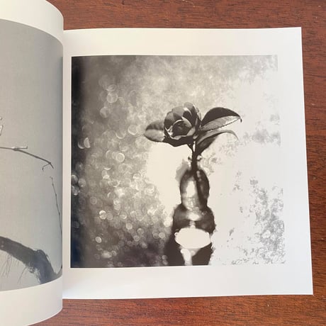 新山清 写真集『花・女』新品200部限定