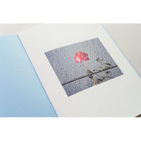 蓮井元彦 写真集『Marianna』新品 初版250部