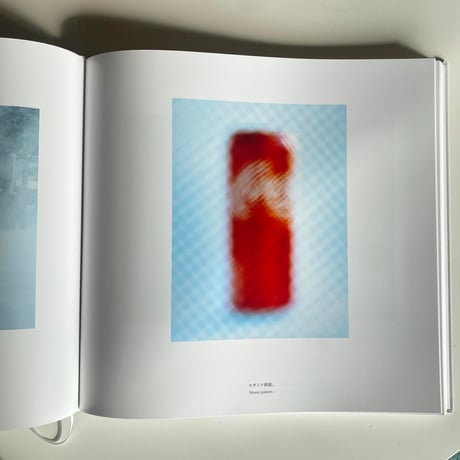 鶴巻育子 写真集 『ALT』 新品 *サイン入り