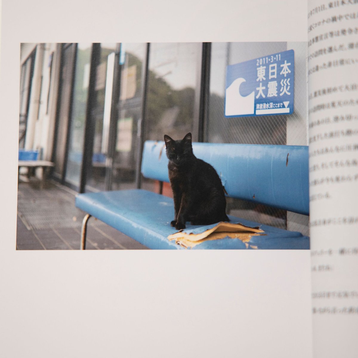 金森玲奈 写真集『20110701_20210701』新品 サイン入り | Jam Books