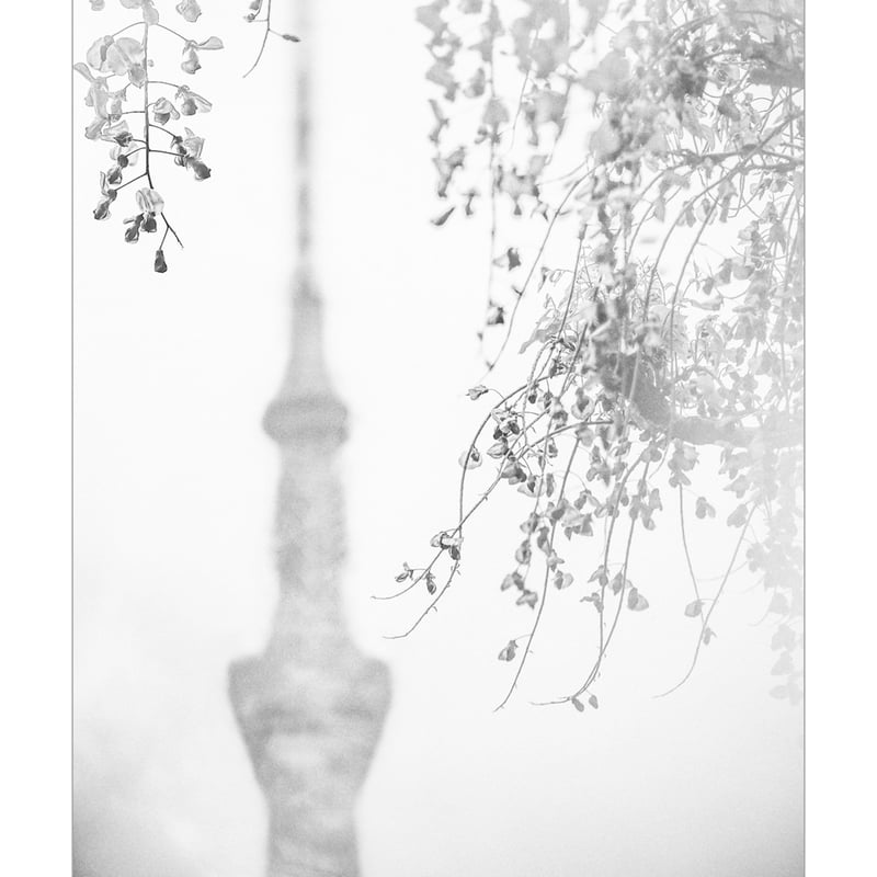 オルテア 写真プリント『Tokyo Prism World Kameido 01』 | Jam