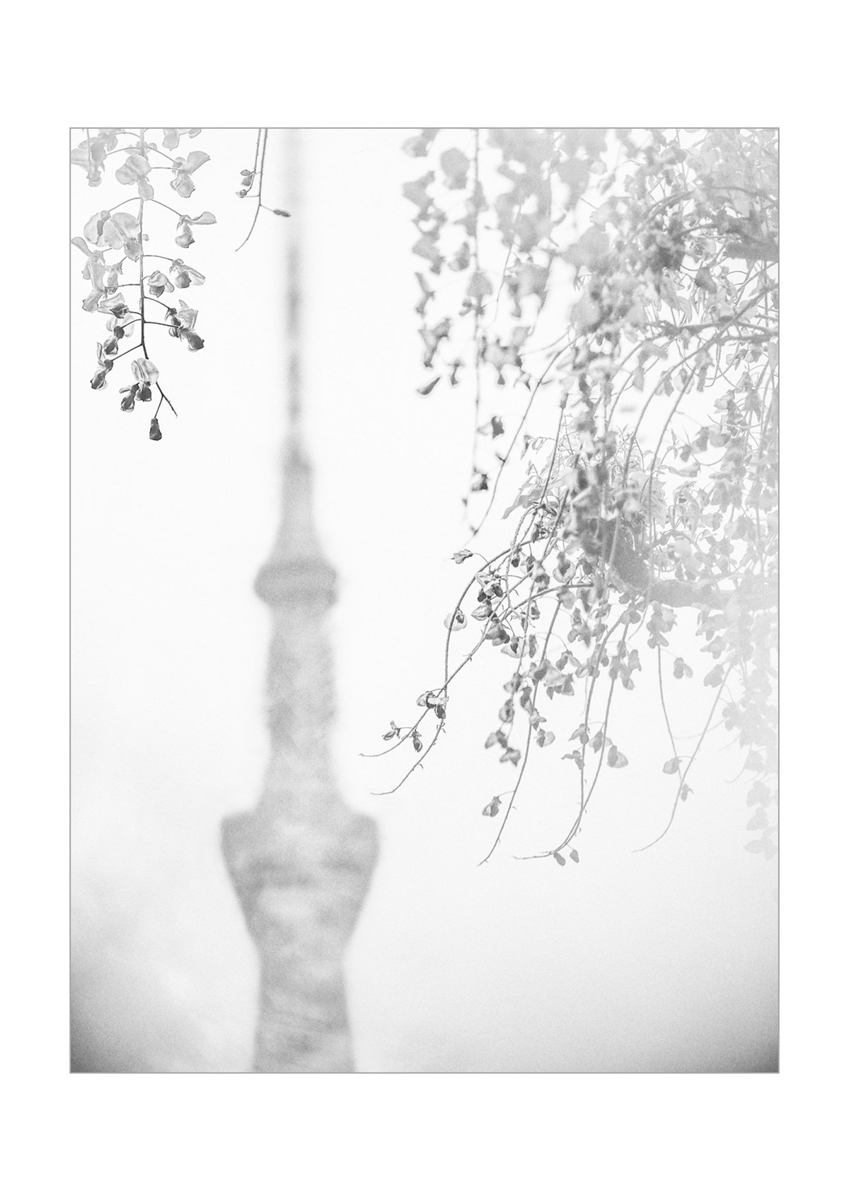 パリ、ボザール橋の恋人たち、大きなモノクロのオリジナルプリントです。 パリ、ボザール橋の恋人たち、大きなモノクロのオリジナルプリントです。