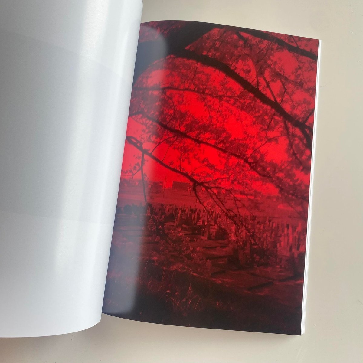 片岡利恵 写真集『 ディスタール 』新品 200部限定 *サイン入り | Jam