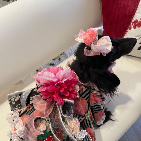 春フラワー着物ワンピ＾＾