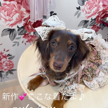 オータムカラーのフラワーワンピ＾＾