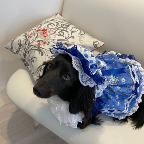 フレンチブルーワンピ＾＾