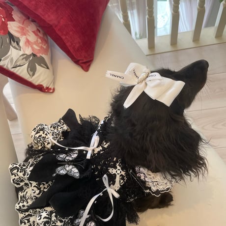 ハロウイン❤　モノトーンダマスクハロウイン