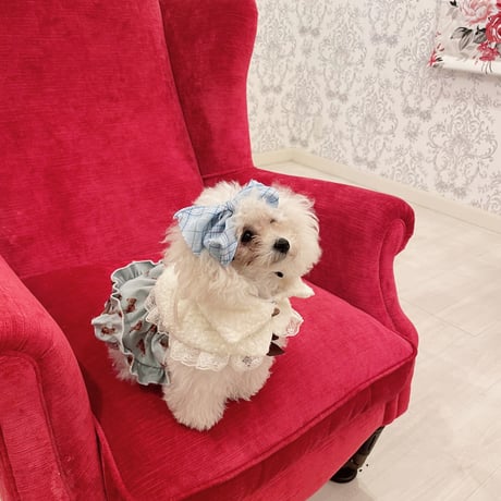 コーデユロイくまちゃんワンピ＾＾