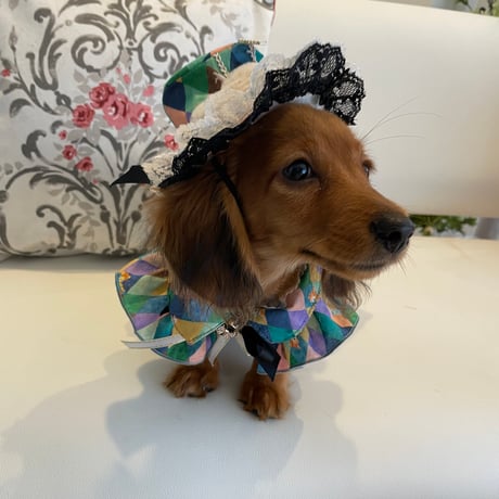 かわいいシルクハット