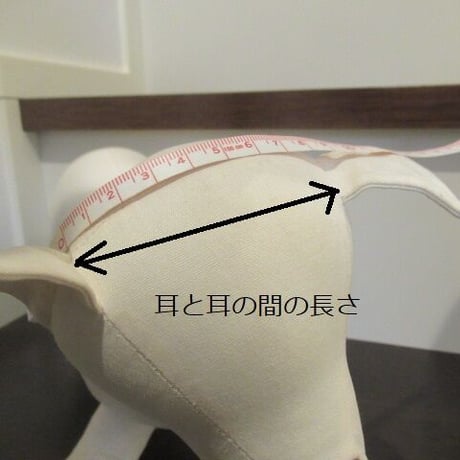 ファーマカロンベレー帽＾＾