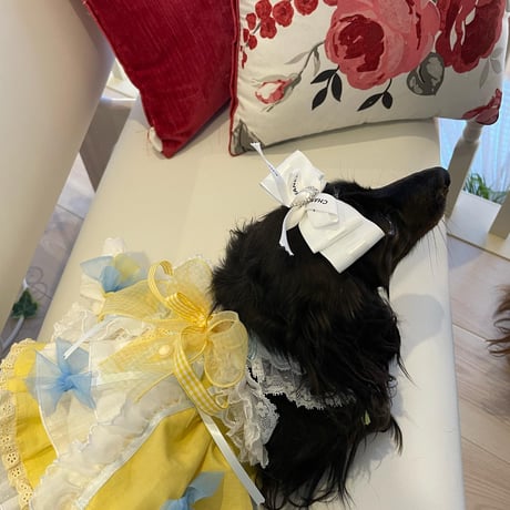 たんぽぽ色春ワンピ＾＾