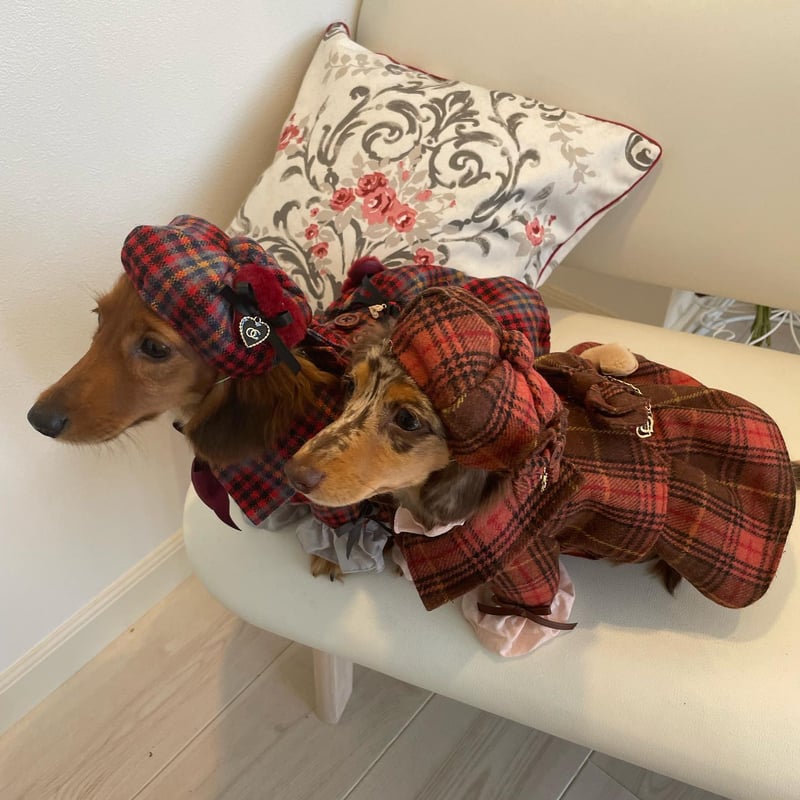 犬服 プルジャム イングランドウールタータンチェック コート