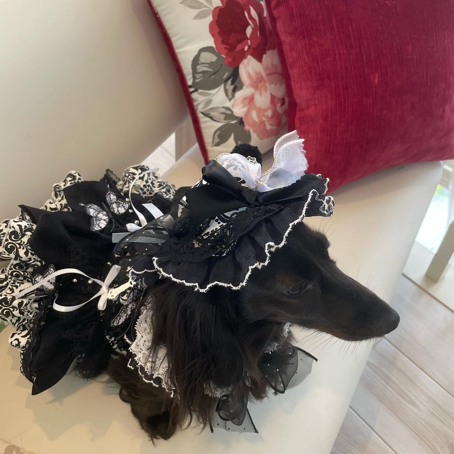 66c578214c7baf02ebba6a32
