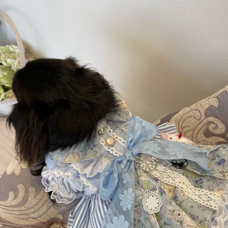 アリスうさぎワンピ＾＾