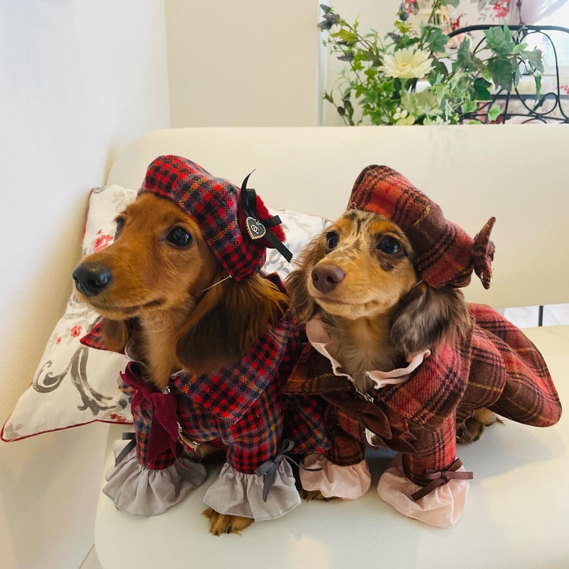 犬服 プルジャム イングランドウールタータンチェック コート