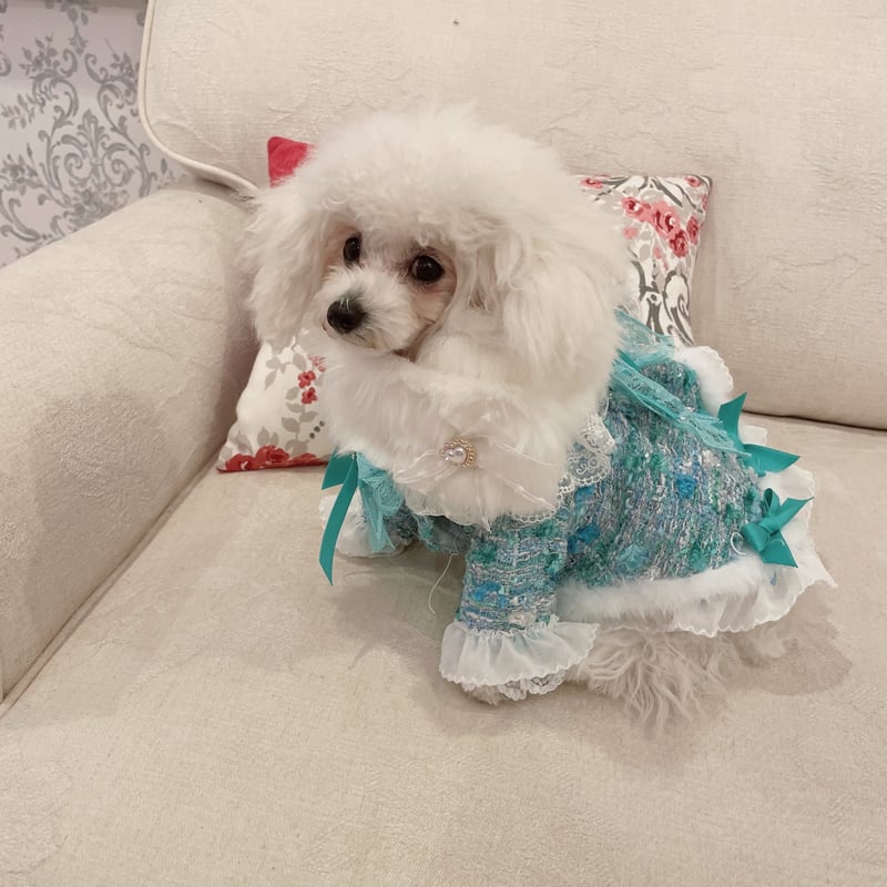 ブルーグリーンツイードコートワンピ{ファーテイペット付き｝ | Pule