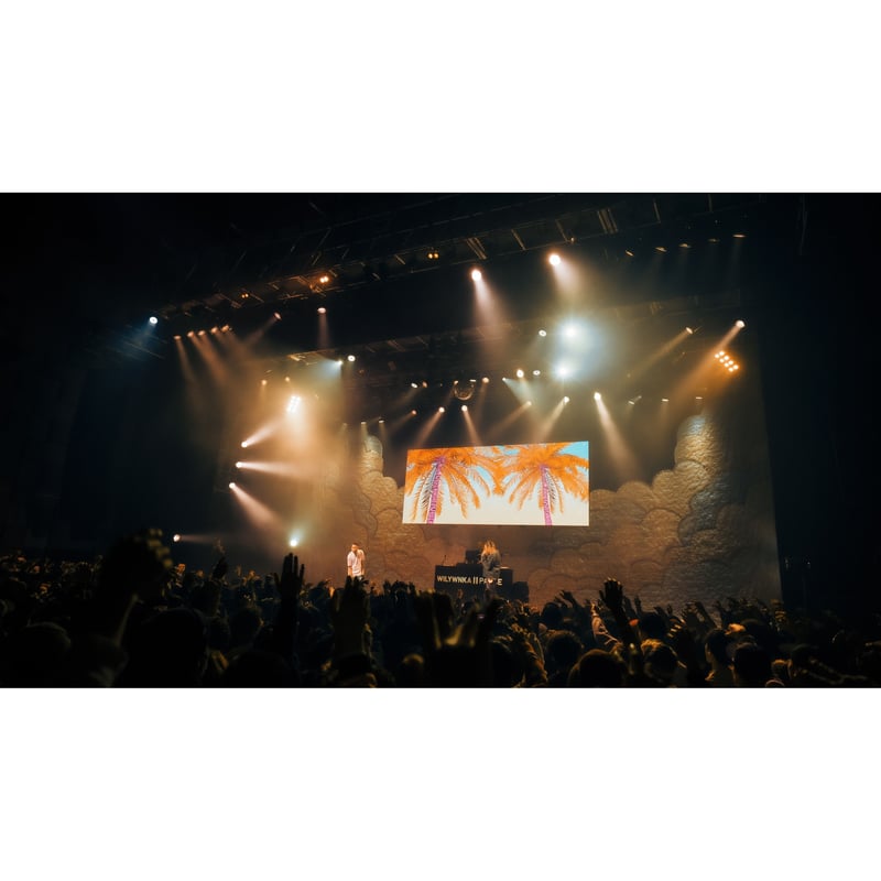 DVD / BD) WILYWNKA PAUSE TOUR 2019 FINAL in OS DVD / BD) WILYWNKA PAUSE TOUR 2019 FINAL in OS