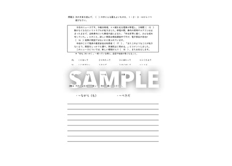 『日本語総まとめ』準拠 N2文法 第４週テスト