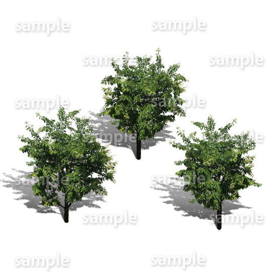 5baa242f5f7866353a000826