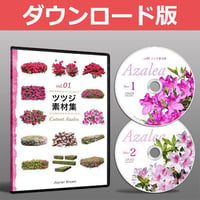 vol.01ツツジ素材集 [ダウンロード版]　5a23