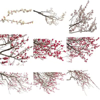 梅　切り抜きセット素材  - Plum trees  2u_02