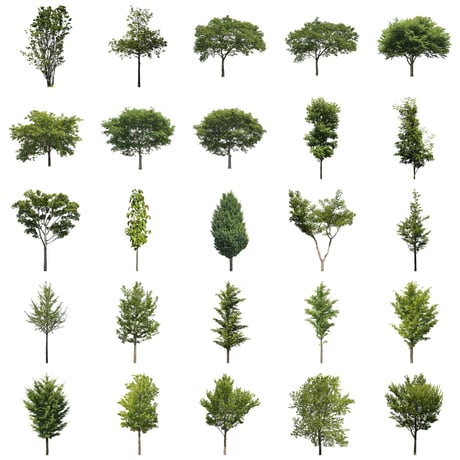 無料樹木素材セット　50個　free_trees_50p_004